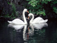 St. John's, Bowring Park